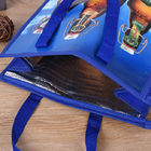 Логотип OEM напечатал более крутую сумку Tote пикника обеда сумки изолировал с молнией