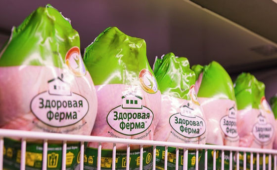 BPA освобождают 5 слоев нагревают сокращение кладут все сумки в мешки обруча сокращения птицы 45um